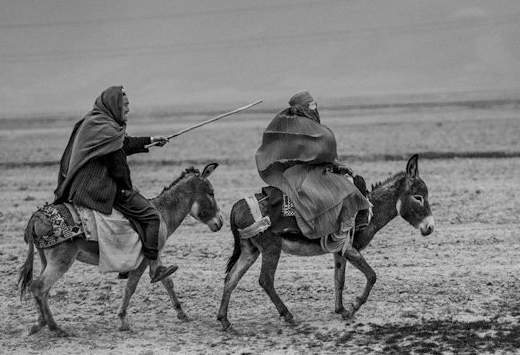جایزه‌ی فوتو ریپورتر برای عکاس ایرانی