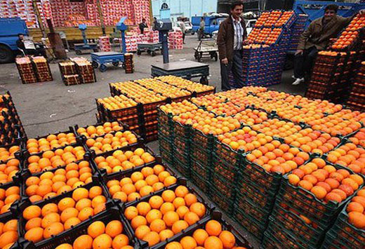 پرتقال صادراتی ۷ برابر ارزان‌تر از بازار داخلی!