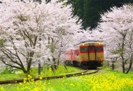 بهترین کشورهای جهان برای مهاجران کدامند؟