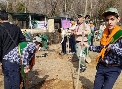 مدیران مدارس به کاشت درخت در فضای مدارس اهتمام کنند