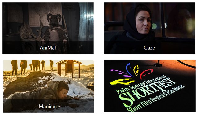 فیلم ایرانی در جشنواره‌ی فیلم کوتاه «پالم اسپرینگز»